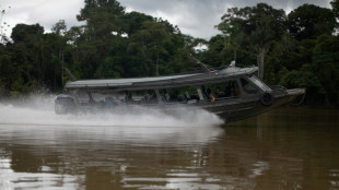 Indicios de algo "enterrado" en Brasil donde desapareci&oacute; periodista, seg&uacute;n un experto