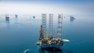 Opec+ h&auml;lt an nur leichter Ausweitung der F&ouml;rdermenge fest 