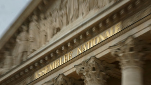 L&eacute;gislatives: le RN &agrave; 31%, la gauche unie &agrave; 28% et la majorit&eacute; &agrave; 18%, selon un sondage