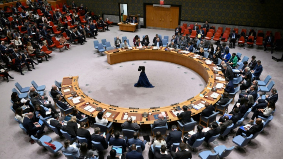 EEUU veta en Consejo de Seguridad petici&oacute;n palestina de adhesi&oacute;n a la ONU