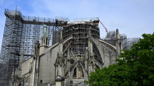 La justicia francesa investiga la contaminaci&oacute;n por plomo tras el incendio de Notre-Dame