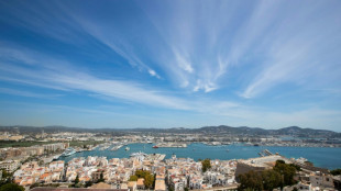 Confiscan un cargamento de 8,3 toneladas de hach&iacute;s en Ibiza 
