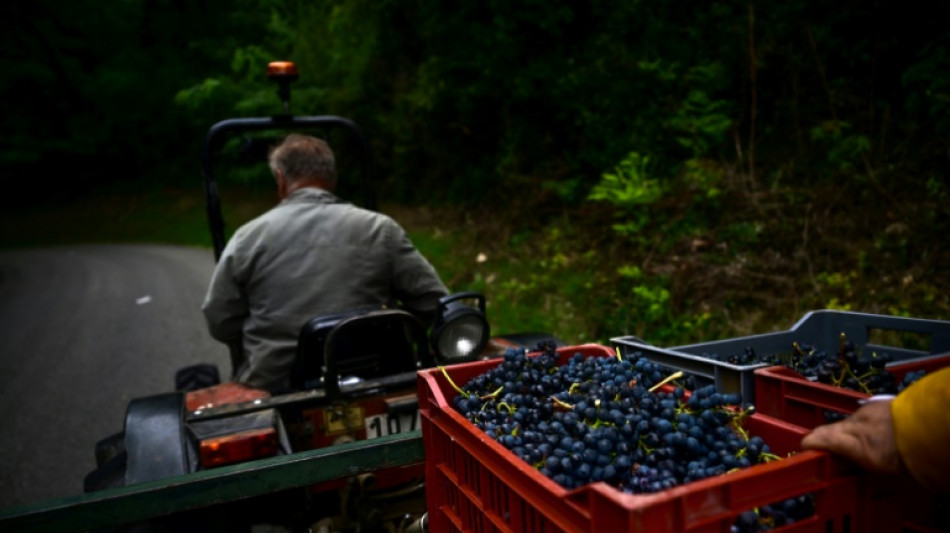 Frankreich beantragt 120 Millionen EU-Hilfen f&uuml;r Rodung von Weinbergen