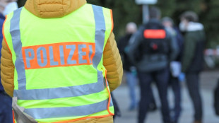 Nach Angriff in Zwickauer Park: Razzia wegen Landfriedensbruchs in Sachsen und Th&uuml;ringen