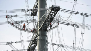 Verbraucherschützer fordern schnellere Entlasstungen bei Netzentgelten