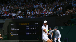 Sieg gegen Kyrgios: Siebter Wimbledon-Titel f&uuml;r Djokovic