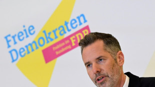 Vor Dreik&ouml;nigstreffen: FDP-Spitzenpolitiker werben f&uuml;r B&uuml;ndnis mit Union
