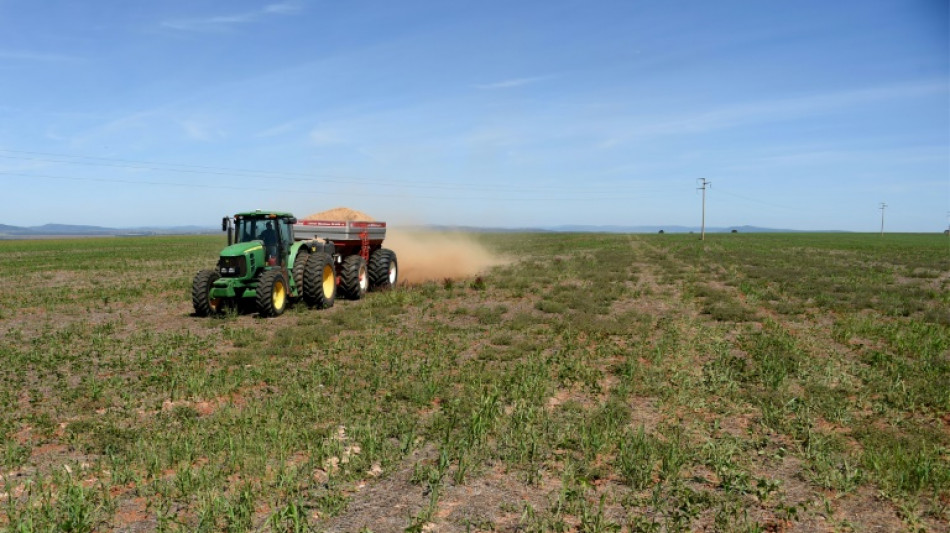 Anstieg der Erzeugerpreise f&uuml;r landwirtschaftliche Produkte ebbt weiter ab