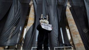 Congresso da Col&ocirc;mbia aprova proibi&ccedil;&atilde;o de touradas a partir de 2027