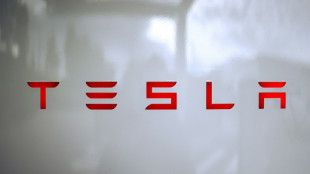 Herstellerverband: Tesla-Verkäufe in EU im Mai erneut stark eingebrochen