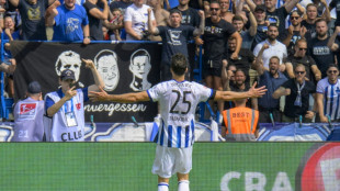 Befreiungsschlag f&uuml;r Hertha - HSV wieder an der Spitze