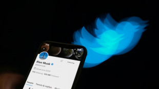Twitter: Musk demande au lanceur d'alerte de fournir des documents et de t&eacute;moigner