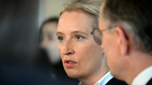 Verfassungsschutz erklärt in AfD-Eilverfahren sogenannte Stillhaltezusage