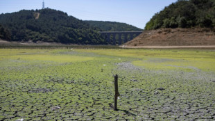 "De mauvais jours nous attendent": les barrages d'Istanbul s'ass&egrave;chent sous la vague de chaleur