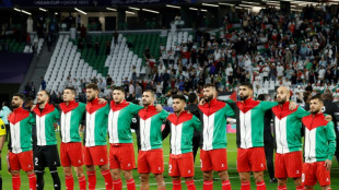 Foot: une minute de silence avant la victoire de l'Iran face &agrave; la Palestine &agrave; la Coupe d'Asie