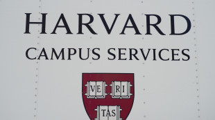 Harvard, Trump avvia la revoca dei visti per gli stranieri