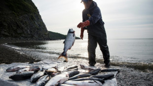US-Umweltbeh&ouml;rde stoppt Gold- und Kupferminenprojekt in Alaska