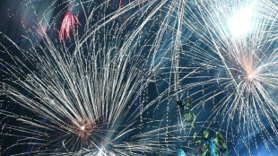 En Nochevieja, alemanes y sus perros se refugian del caos pirot&eacute;cnico en el aeropuerto