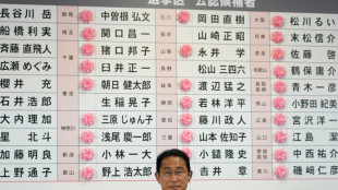 Japon: large victoire du parti au pouvoir aux s&eacute;natoriales apr&egrave;s l'assassinat de Shinzo Abe
