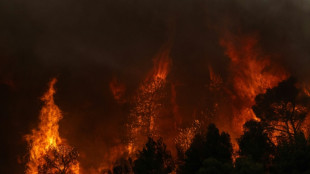 Gr&egrave;ce: une station baln&eacute;aire proche d'Ath&egrave;nes menac&eacute;e par un violent incendie