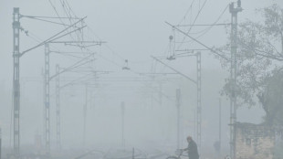 Un tren de mercanc&iacute;as recorre 70 km sin conductor en India