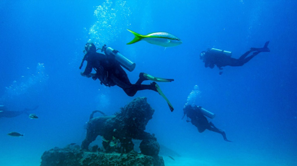 Au large de la Floride, un cimeti&egrave;re sous-marin utile &agrave; la faune aquatique