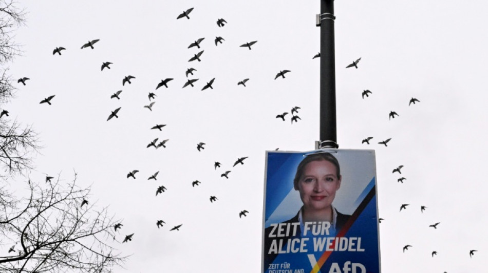 Wahlhelfer der AfD in Baden-W&uuml;rttemberg bedr&auml;ngt und mit Reizgas attackiert