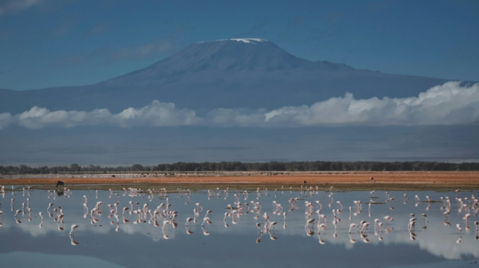 Conexi&oacute;n a internet permitir&aacute; compartir en directo ascensiones al Kilimanjaro
