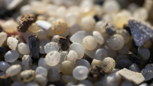 Le Parlement européen adopte des règles plus strictes contre la pollution aux microplastiques