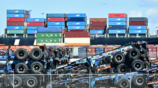 Studie: US-Zollpolitik treibt deutsche Firmen zu mehr Investitionen im Inland