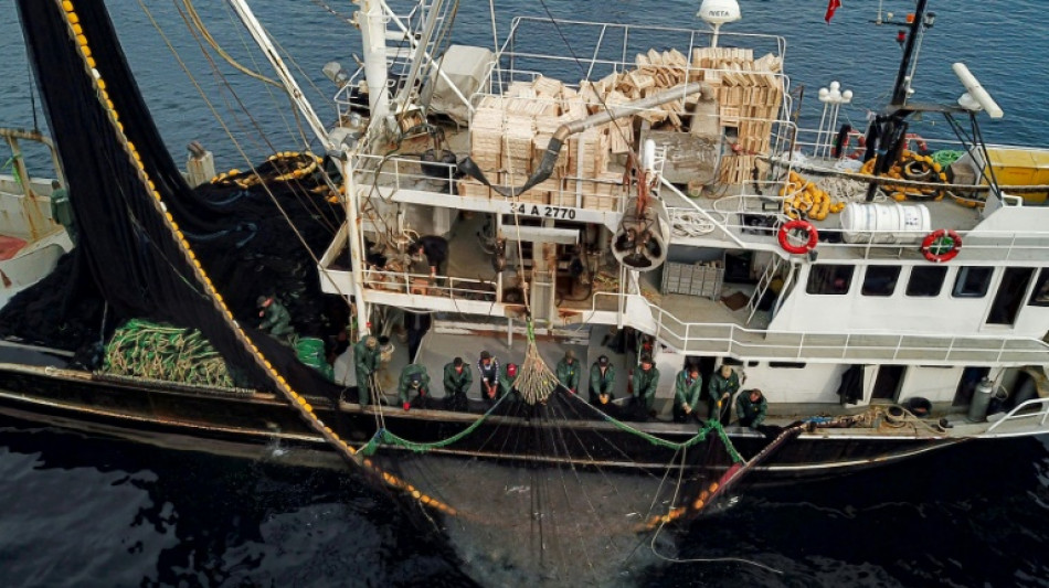 La inflaci&oacute;n se ralentiza en noviembre en Turqu&iacute;a, a un 84,4% interanual