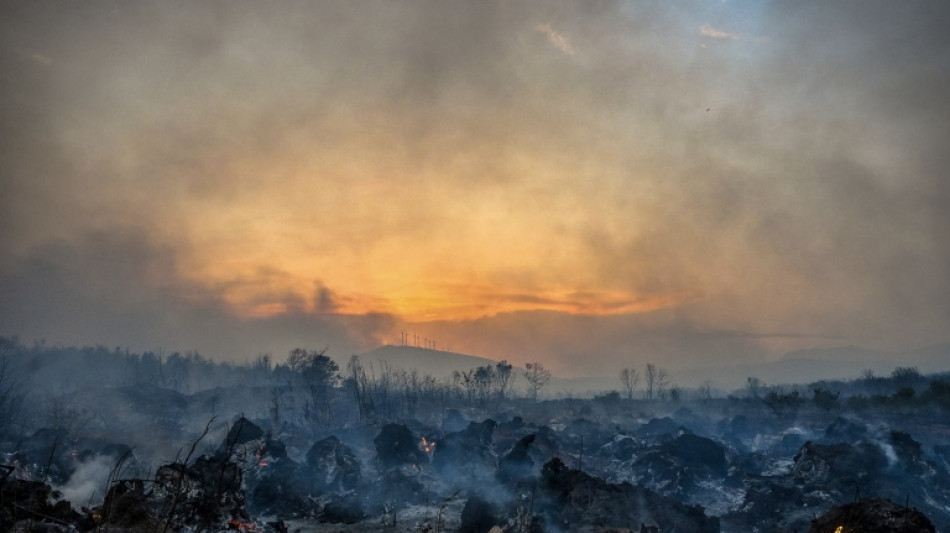 Los gases de efecto invernadero alcanzaron niveles r&eacute;cord en 2025, advierte la ONU