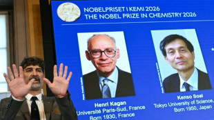 El Nobel de Qu&iacute;mica premia un descubrimiento clave para fabricar f&aacute;rmacos