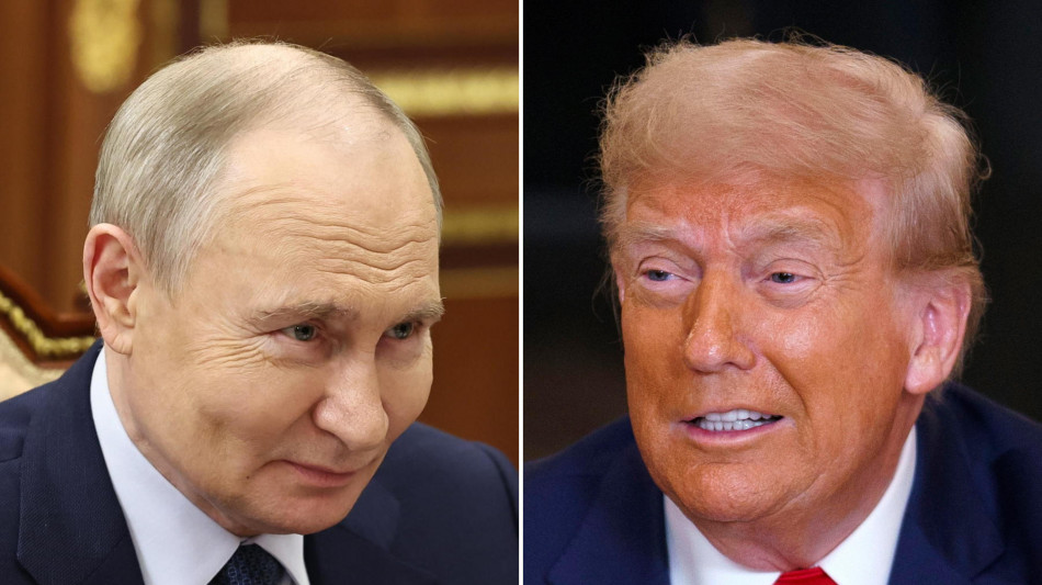 Telegraph, 'Trump offrir&agrave; a Putin minerali in cambio della pace'