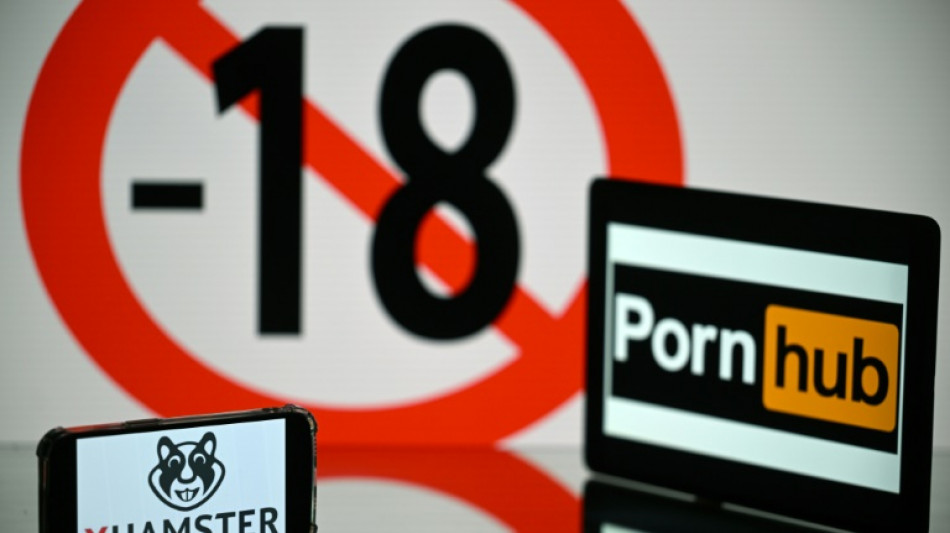 Blocage des sites pornos: d&eacute;cision attendue le 7 juillet