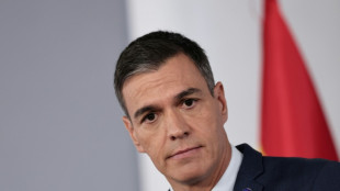 Espagne: Pedro S&aacute;nchez devant les d&eacute;put&eacute;s pour &ecirc;tre reconduit au pouvoir