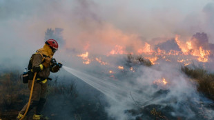Controlado un gran incendio en el noroeste de Espa&ntilde;a tras la ola de calor