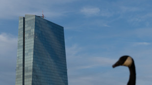 La Bce alza i tassi di un quarto di punto, i depositi passano al 2,50%