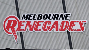 Australia's Big Bash T20 teams face sale to private investors