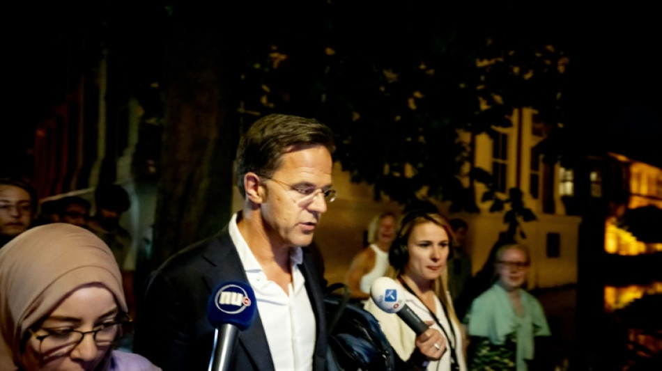 Dutch PM meets king after government falls