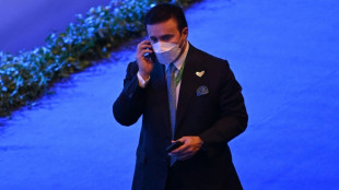 La justicia francesa investiga al presidente emirat&iacute; de Interpol en un caso de torturas