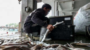 L'&icirc;le Kinmen de Ta&iuml;wan vit "comme d'habitude" malgr&eacute; les exercices chinois
