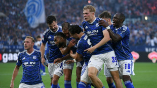 Traumstart für Muslic: Schalke bezwingt Aufstiegsfavorit Hertha