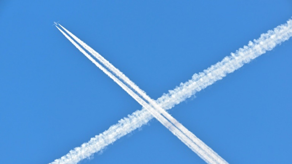 Shares in Tesla and airlines take off