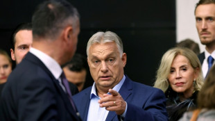 Orban &uuml;berzieht EU mit Vorw&uuml;rfen und will Trump-Sieg feiern