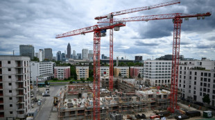 Deutlicher Rückgang im Wohnungsbau - 251.900 neue Wohnungen im Jahr 2024