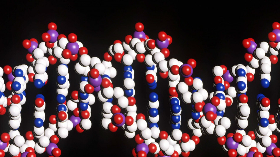 La mappa più completa del Dna umano apre alla medicina su misura