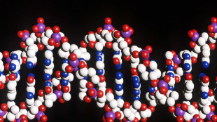 La mappa più completa del Dna umano apre alla medicina su misura