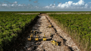PIB de M&eacute;xico crece 1,6% interanual en primer trimestre 