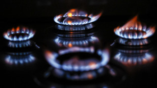 In aumento l'indice italiano del gas